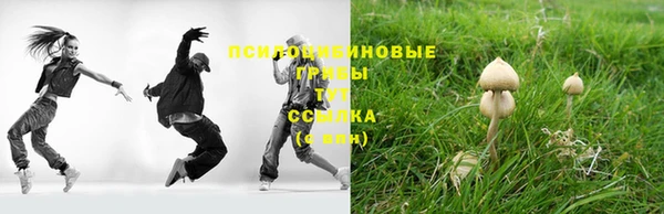 бошки Баксан