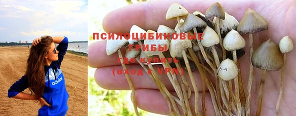 дмт Белоозёрский
