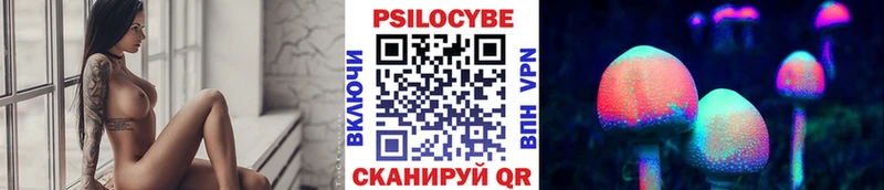 blacksprut ONION  где купить наркоту  Магас  shop состав  Псилоцибиновые грибы Cubensis 